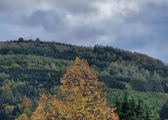 Ferienwohnung Waldblick